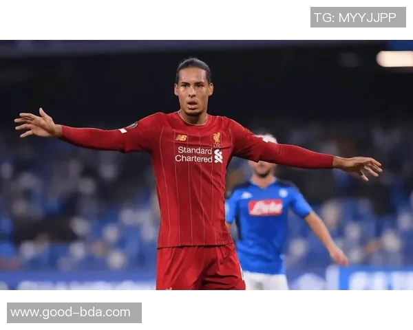 足球明星范戴克的传奇之路与场上风采全解析